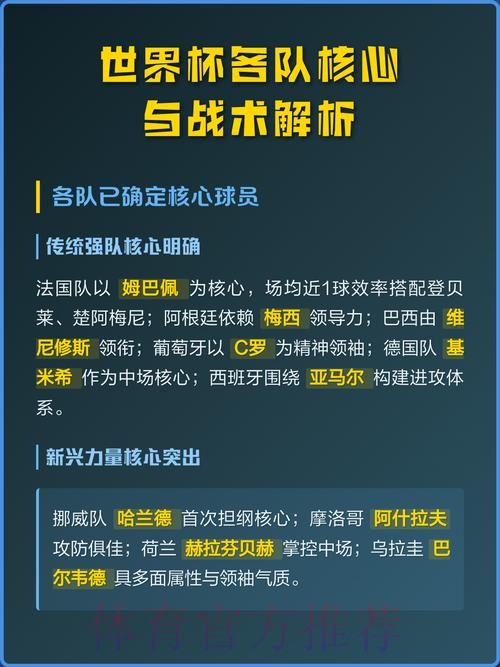 全面解析世界杯球队实力与战术特点